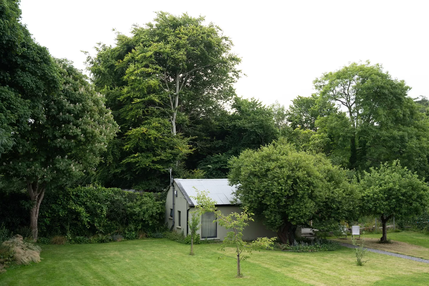 The Roost garden