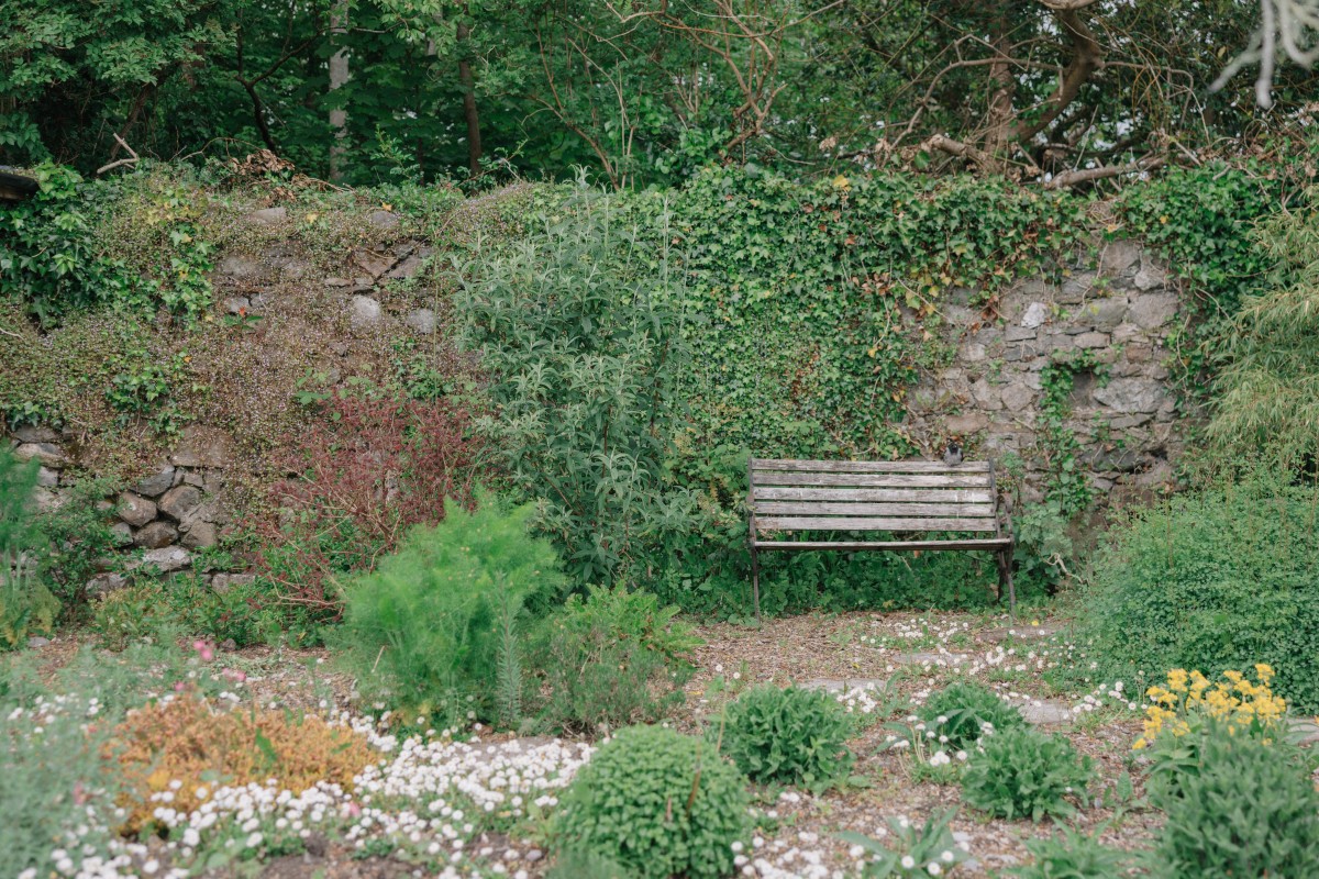 Gardens and grounds at The Roost